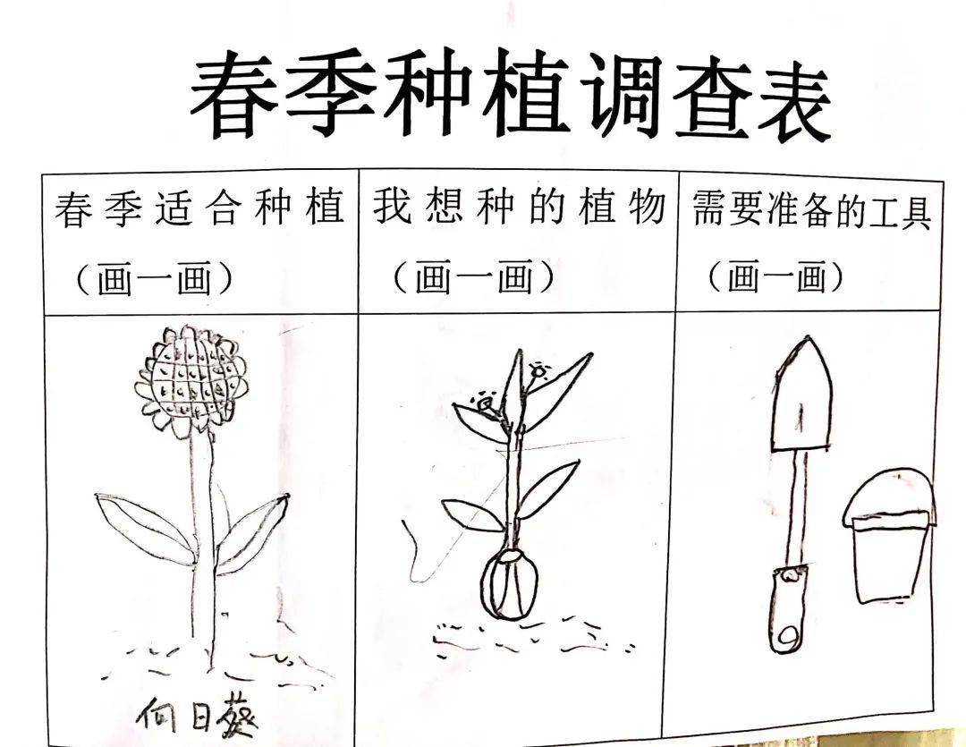 春天植物的变化图片