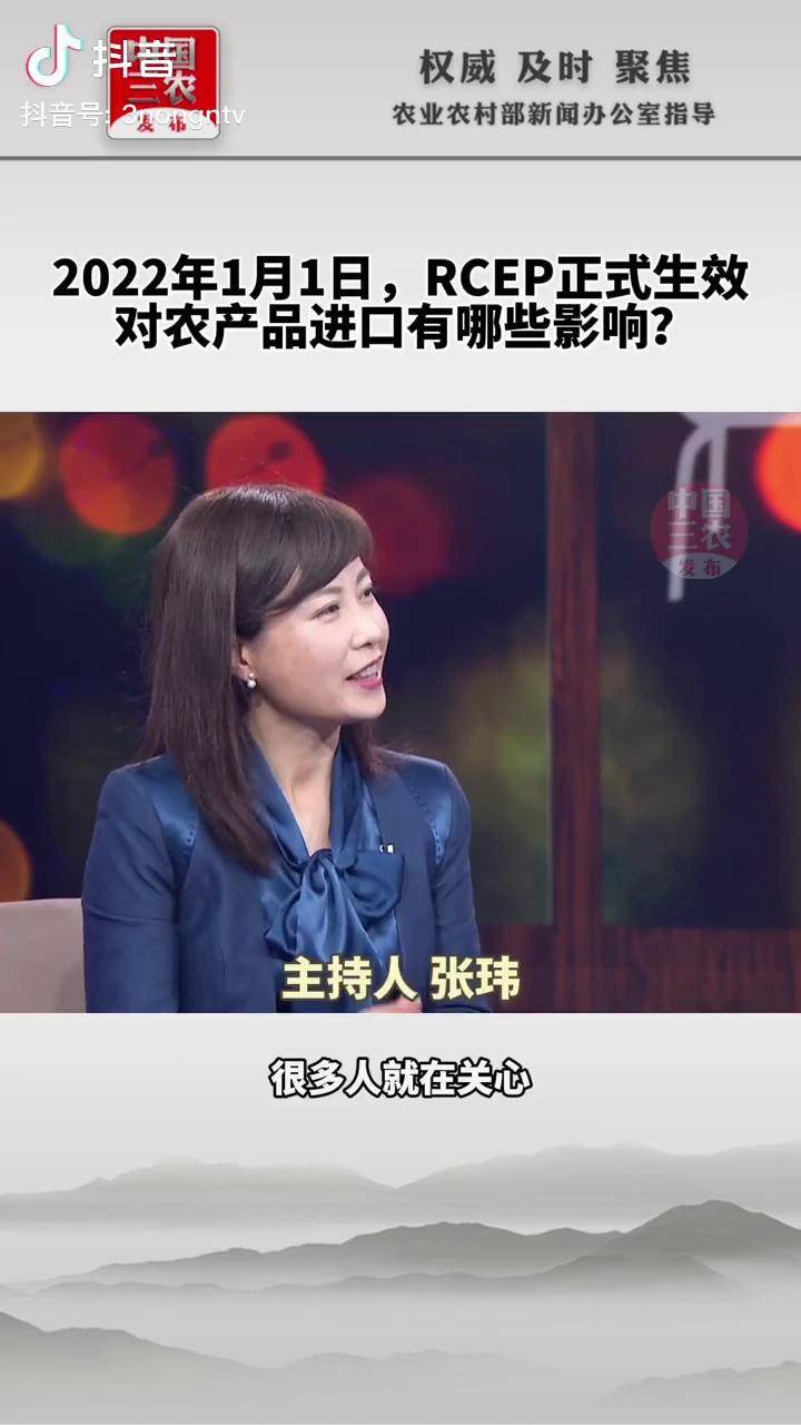 张玮女主持人图片