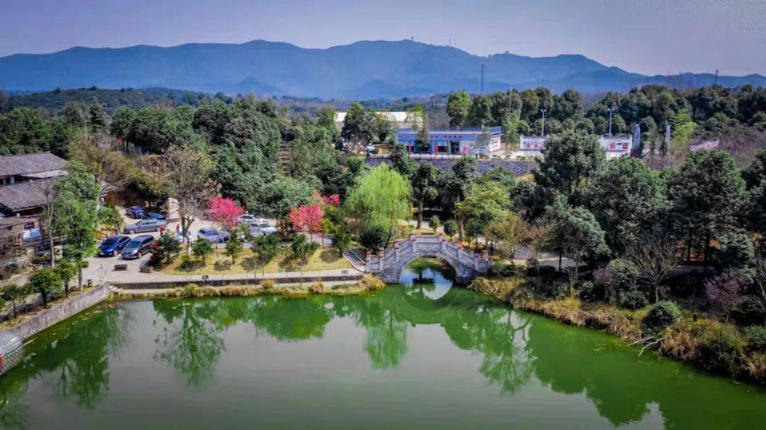 阳春三月收下这份常德鼎城最新赏花踏青地图攻略春日旅行不用愁