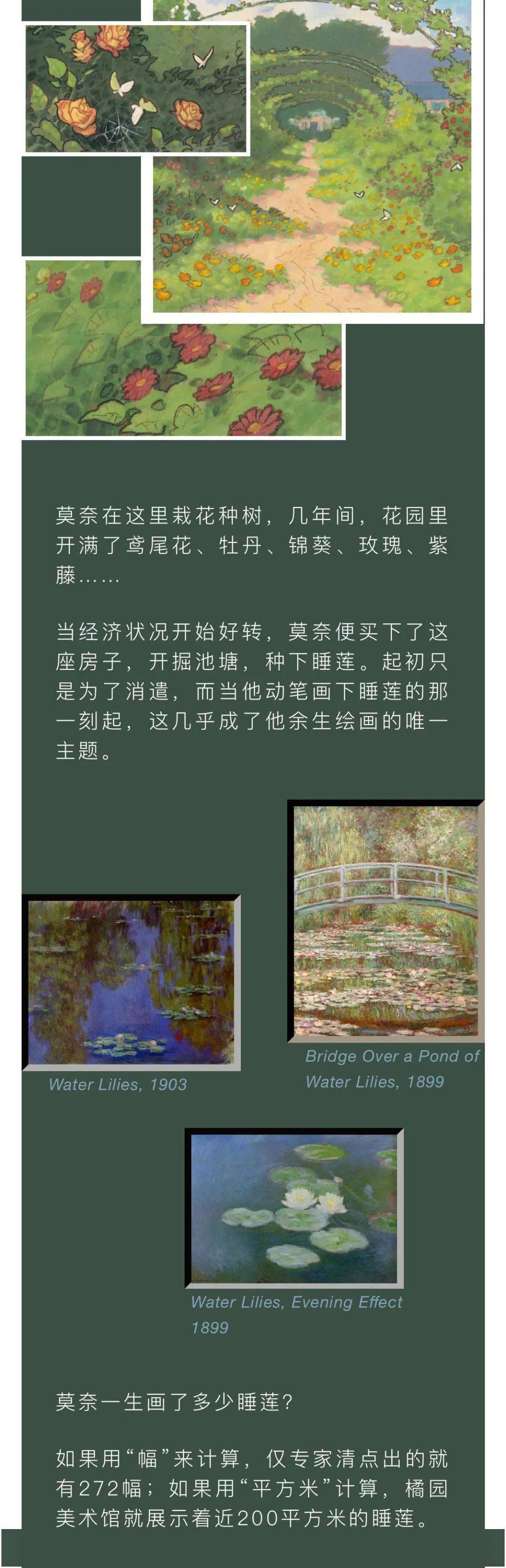 动画|《黑睡莲》，一部印象主义的高品悬疑漫画