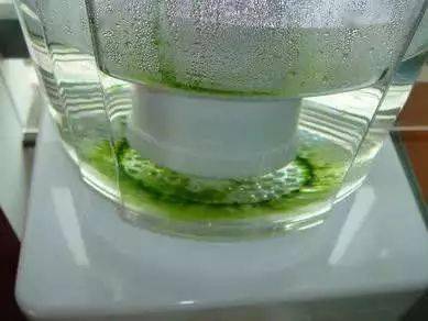 饮水机长有这种东西专家称长期饮用致癌