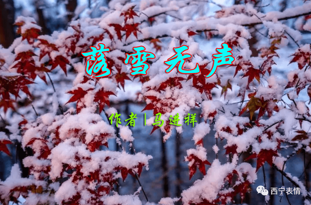 马进祥落雪无声