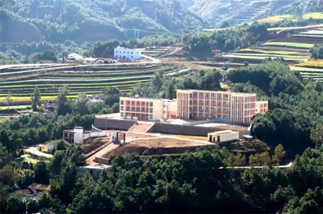 大山深处一片郁郁苍苍的古松树林围绕的高坝上,松枝上结着硕大的松果