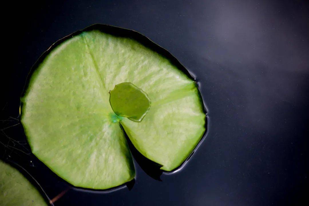 一幅极具张力的作品水的休憩来稿点评