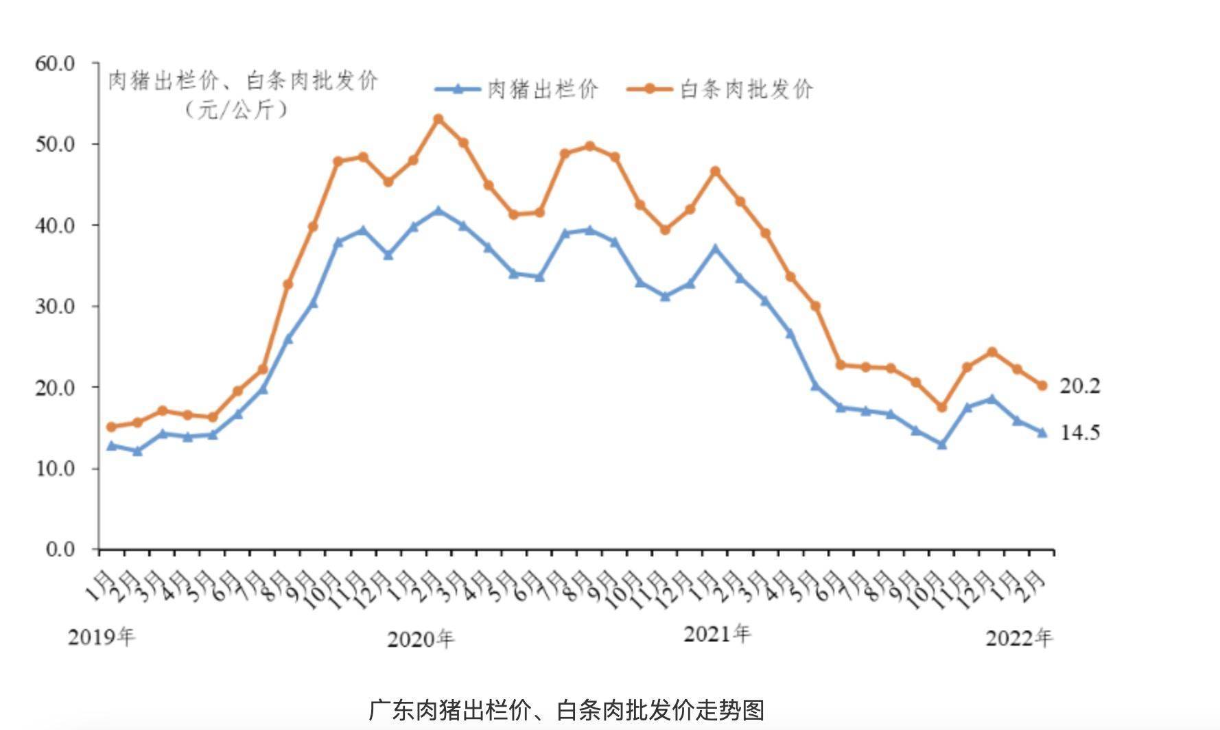 猪肉价格已连跌五周 广州能繁母猪每头可领补助300元