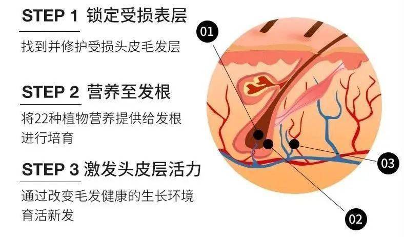 头皮大美女的绝杀从来不是五官！而是优雅到发丝的随意精致！