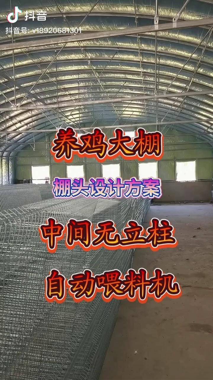 新式养鸡大棚建造方案图片