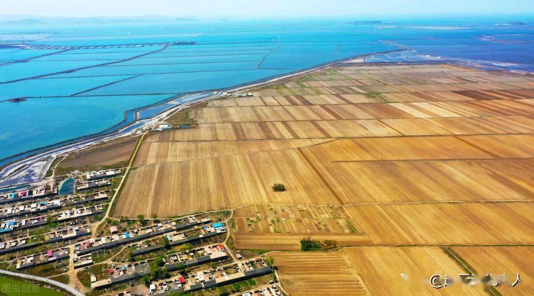 连云港,盐城,南通,淮安的淮盐人付出很多_盐场_淮北_徐圩