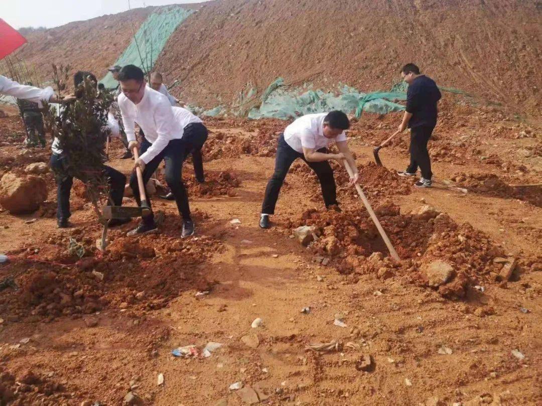 建设美好家园"学雷锋义务植树活动在夏铎铺镇长龙新村拉开帷幕