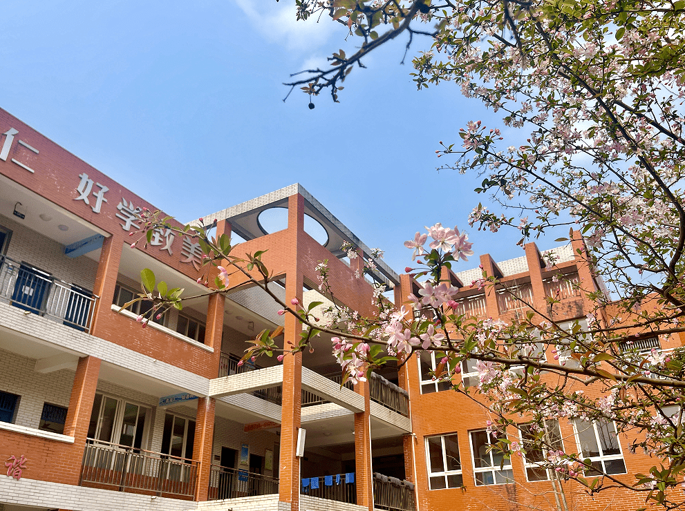 丹稜縣仁美中學青神縣幼兒園青神縣實驗小學校青神中職校校園的春天是