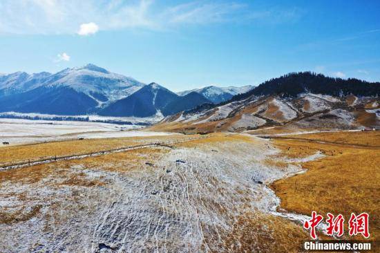 金色|航拍祁连山国家公园青海片区雪后美景如画