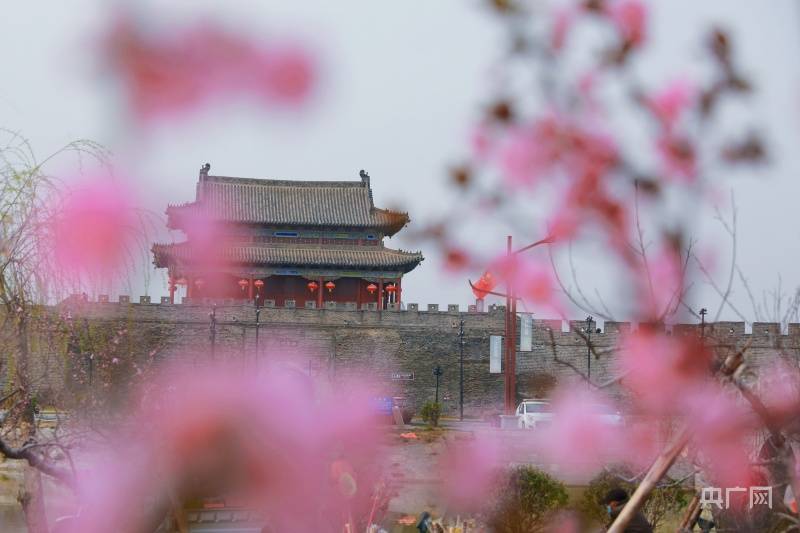 满城|河南省商丘市睢阳区：春风十里 古城花开