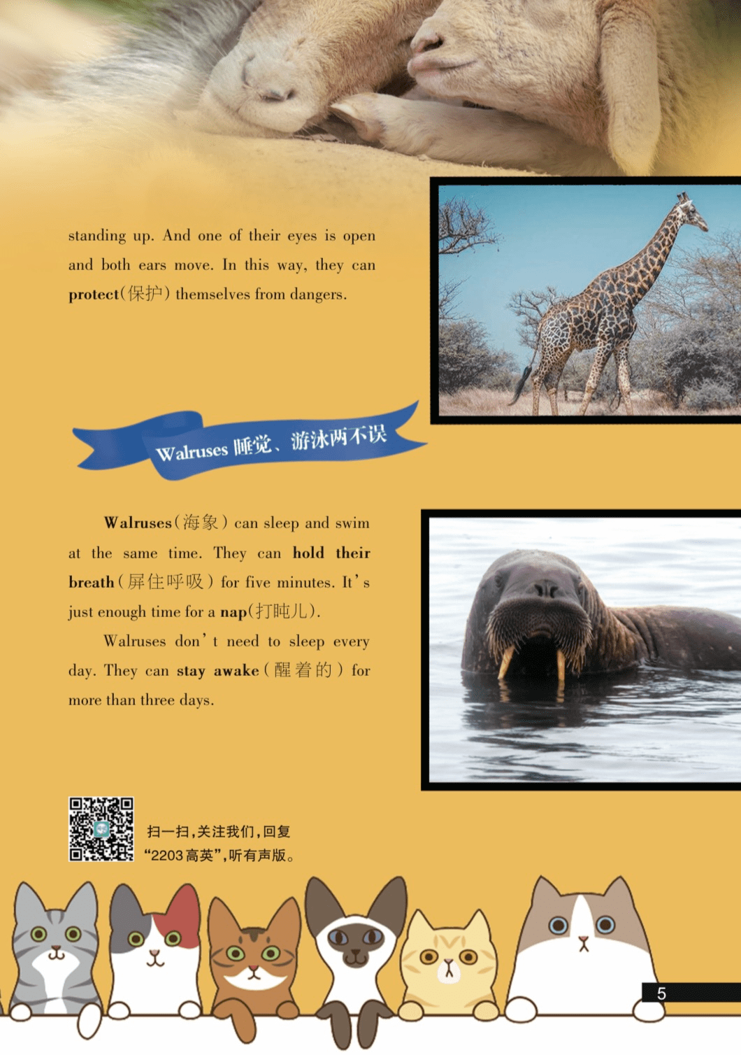 大千世界2022年3月刊高年级英语superanimalsleepers音频速递