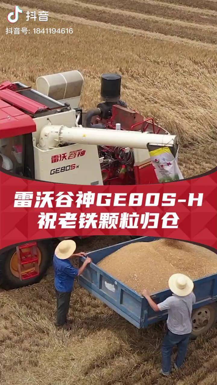 雷沃穀神ge80sh祝老鐵顆粒歸倉現代農業機械農業農業機械