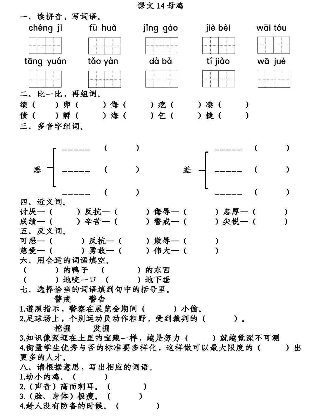 鸡雏的拼音图片