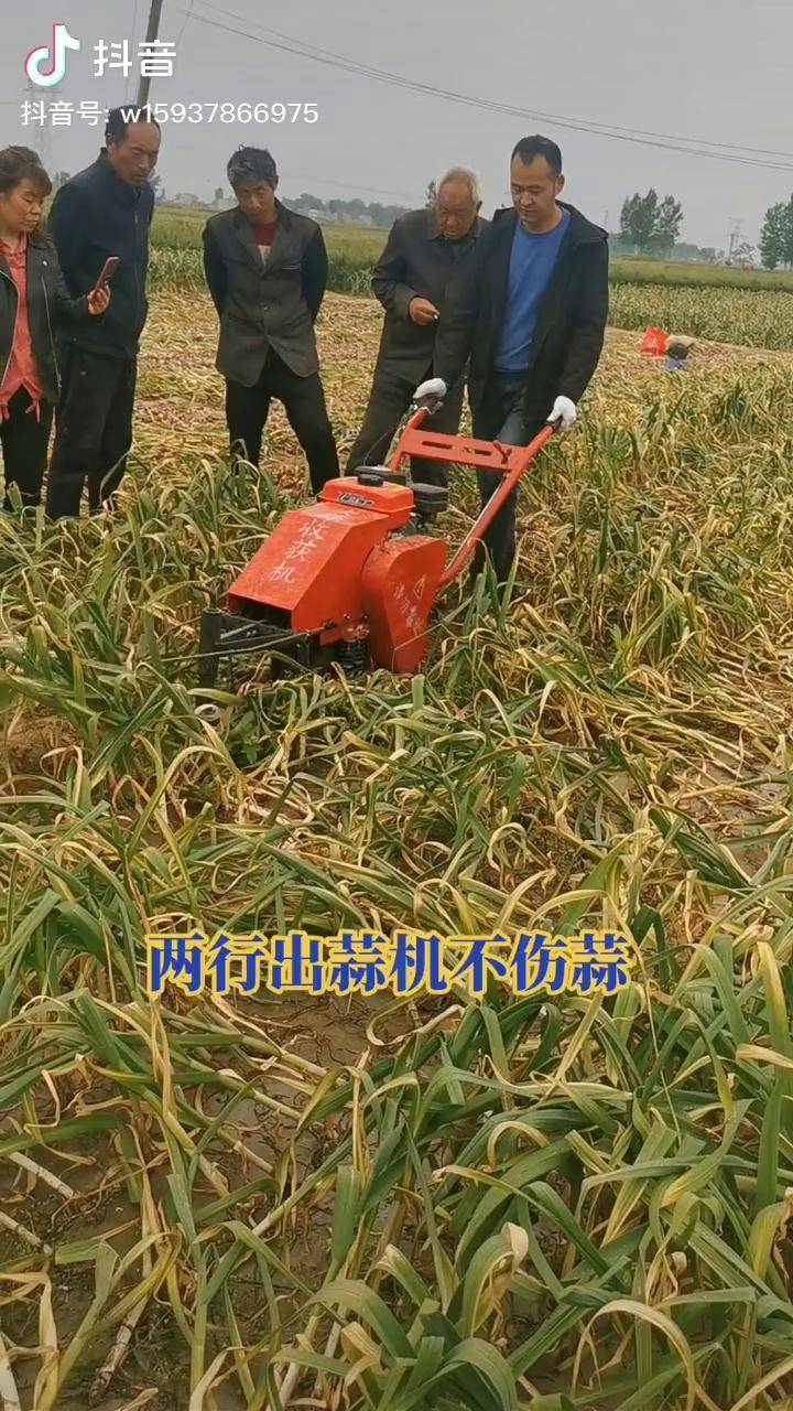 两行出蒜机出大蒜机器一次两行好用不伤蒜不烂蒜适合各种土地带倒档