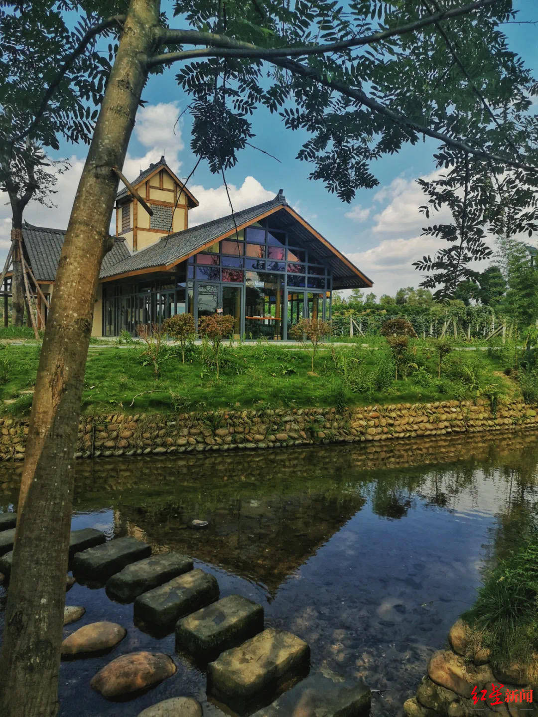 来成都蒲江明月村赶集吃春笋体验沉浸式艺术月氛围