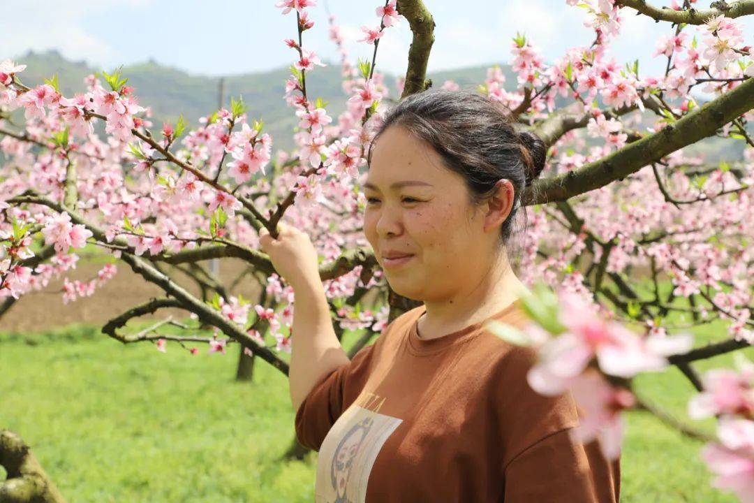 四新 四化 进行时 金沙 桃花盛开春意浓以桃为媒铺新路 长坝镇 石关村 聂洪跃