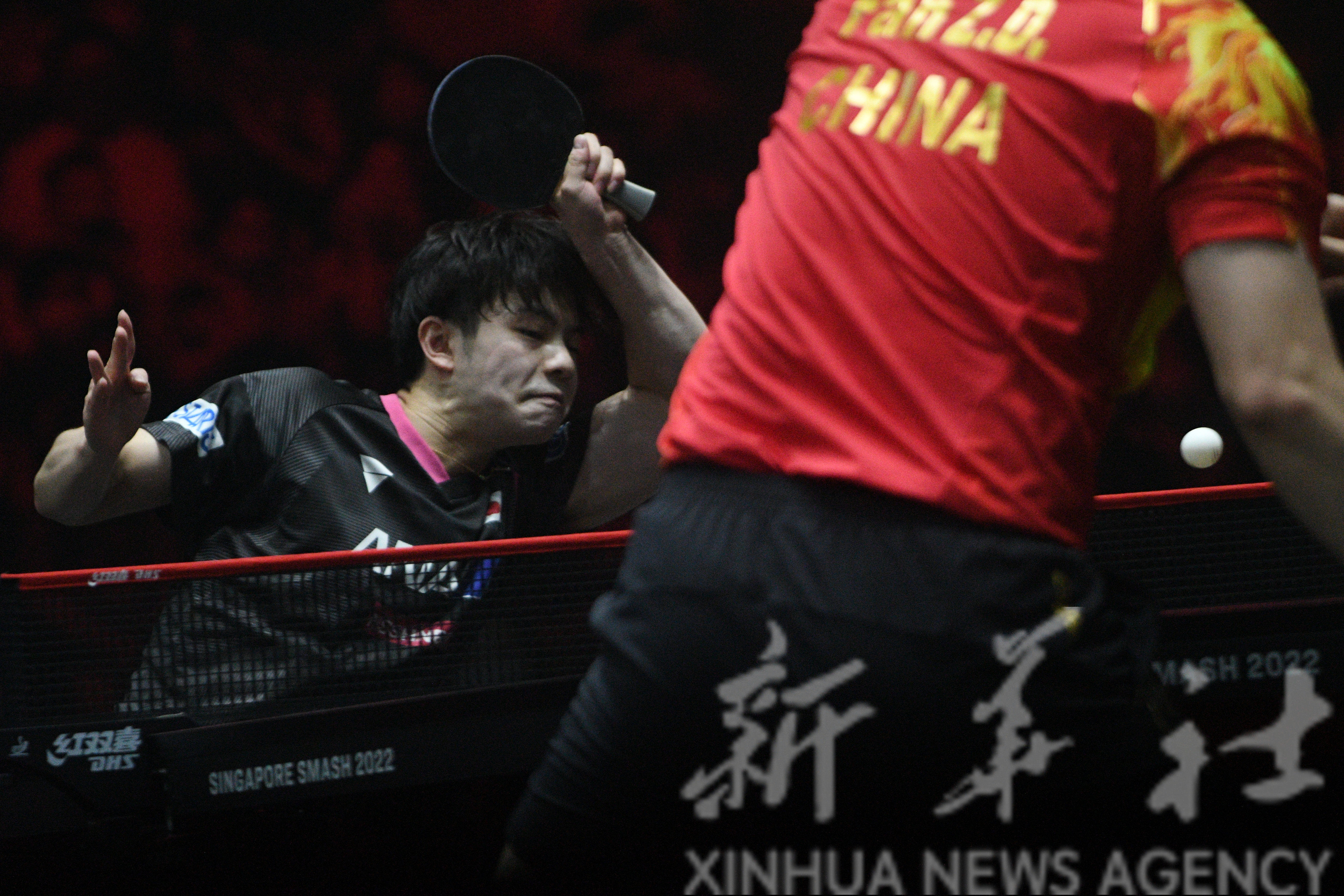 选手|乒乓球——WTT新加坡大满贯：樊振东晋级决赛