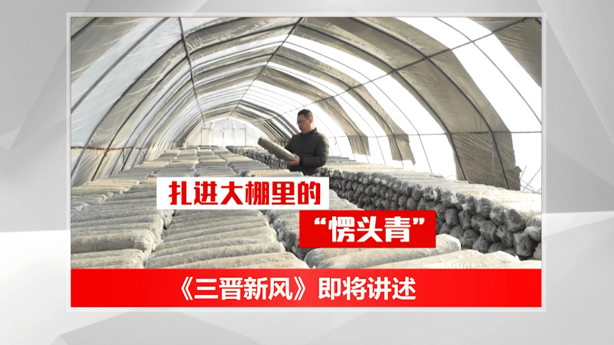 三晋新风大学毕业后回乡种地的他成了村民口中的愣头青