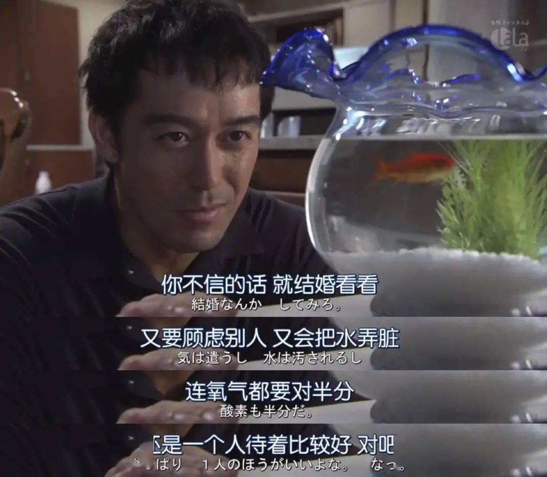 四重奏|我最擅长的事，就是摆烂