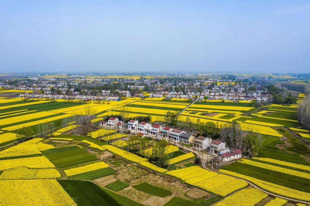 这个春天天门最美的风景在这里