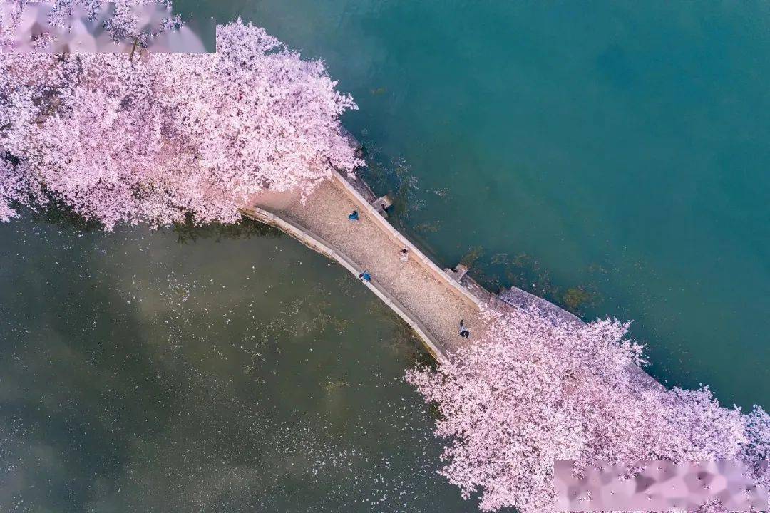 春分的關鍵詞是