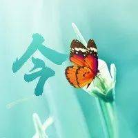 事关你的住房!或有大变化_住宅_芦尚春_地面