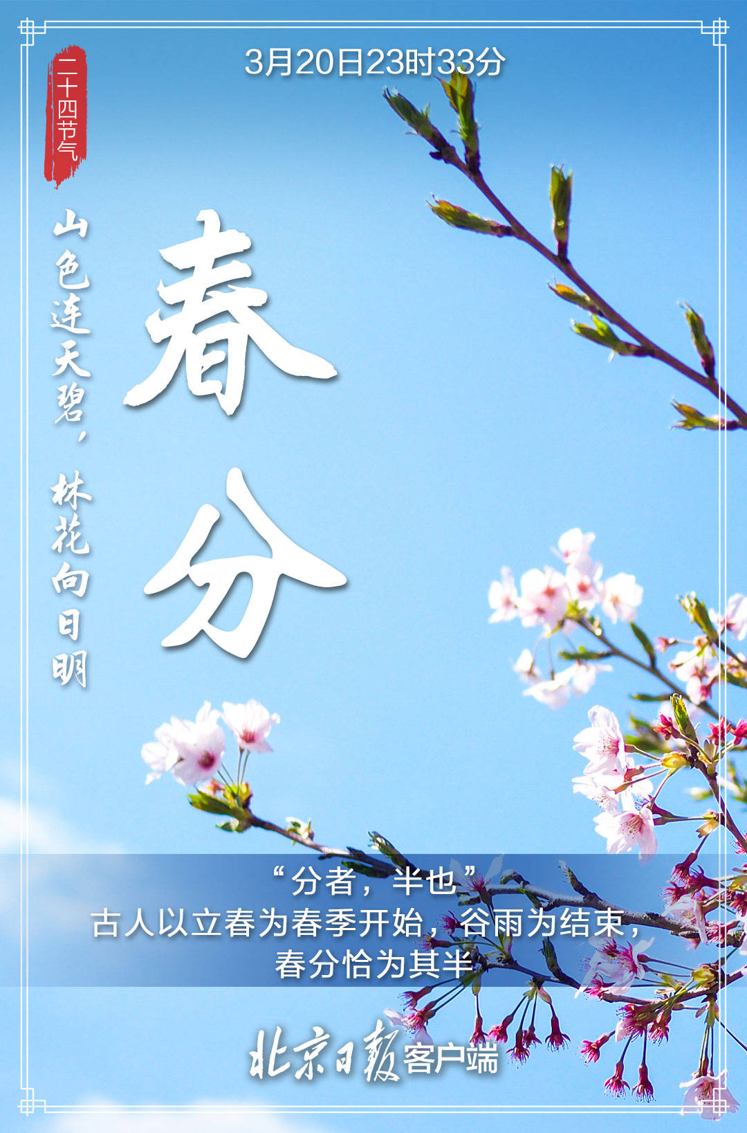 节气|今日春分，昼夜平分春意浓，莫负人间好时光