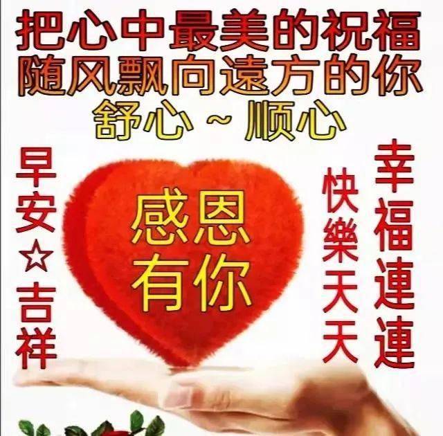 风轻月自明，多一份淡然，你就多了一份豁达与从容，早上好_手机搜狐网