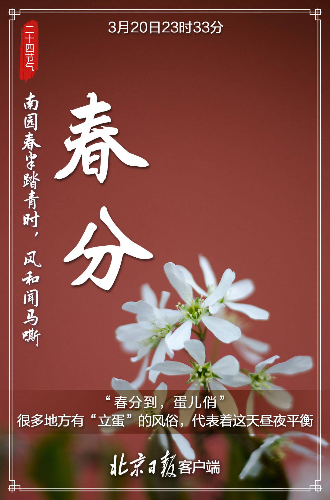 节气|今日春分，昼夜平分春意浓，莫负人间好时光