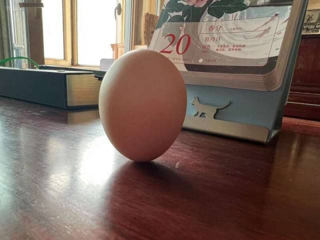 传统|春分民俗大赏