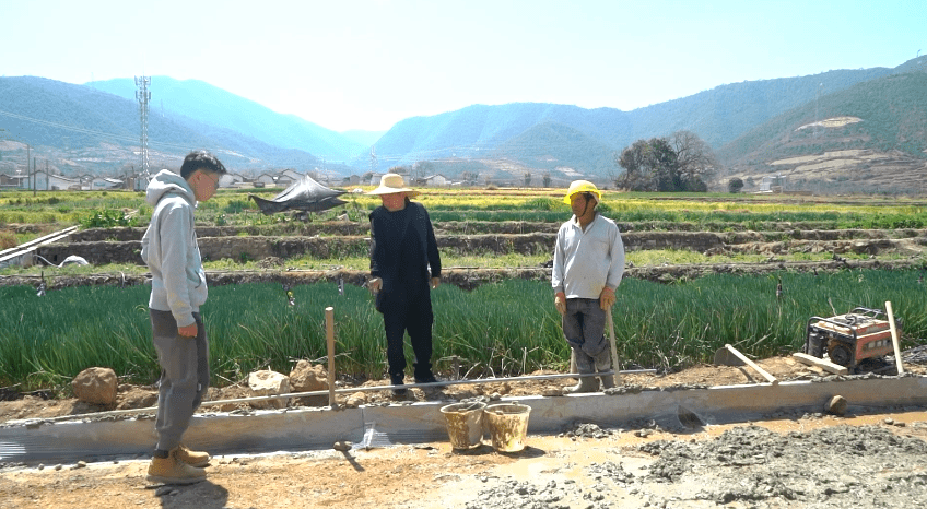 宾川:高标准农田唱响致富曲_平川镇_农业_建设