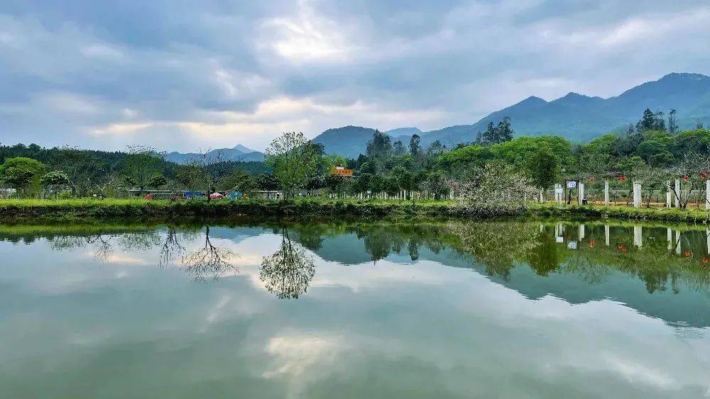 美食街|沙县俞邦村：“小吃第一村”的幸福滋味