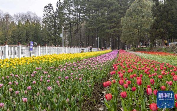 贵州龙里：春暖花开游客来