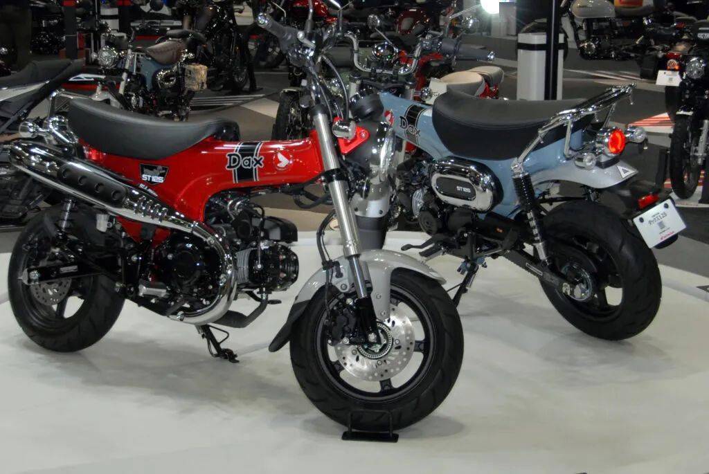 本田重启"长颈鹿",发布全新st125 dax,"腊肠狗"回归