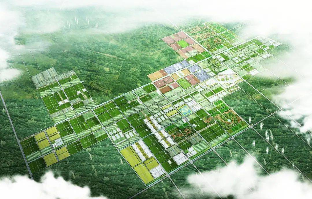 试点村庄物业化通州于家务乡确定30项重点民生实事