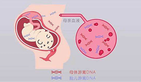 【世界唐氏综合征日】重视唐氏筛查,孕育健康宝宝_孕妇_检查_胎儿