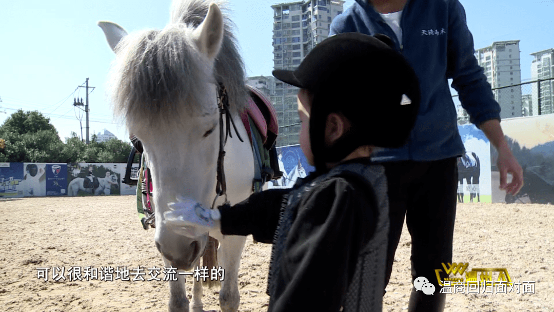 张涛银鞍白马驰人生策马扬鞭促发展