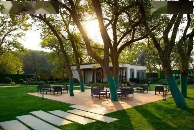 林下_空间_自然_树阵