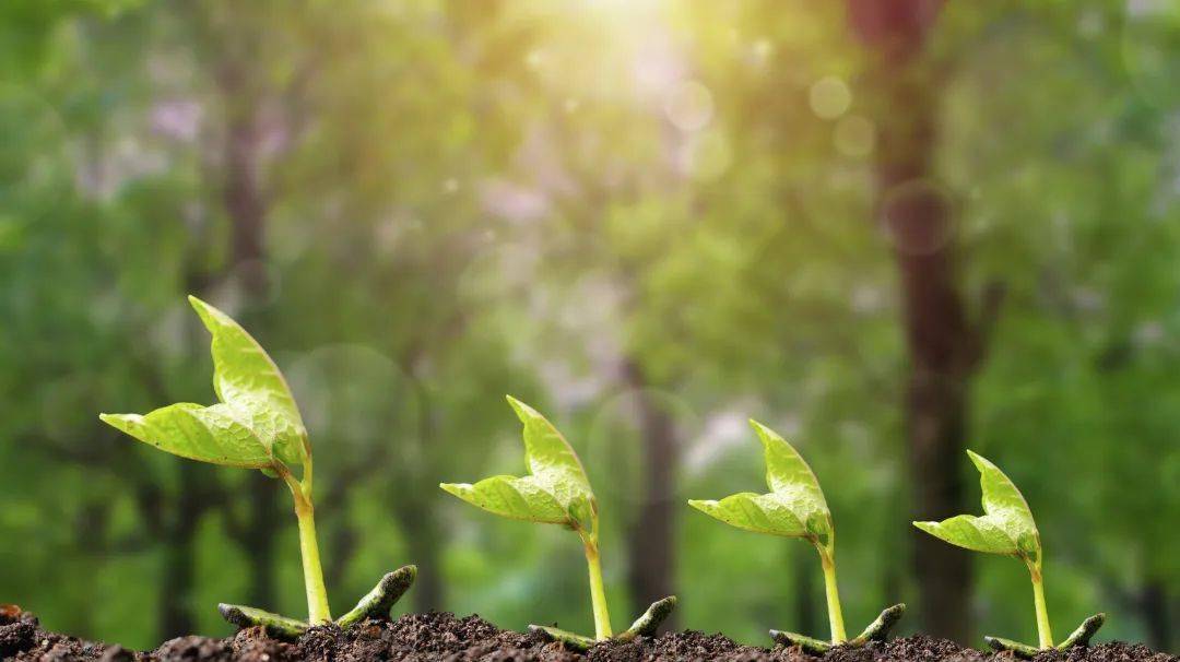 春分后孩子要注意哪些事