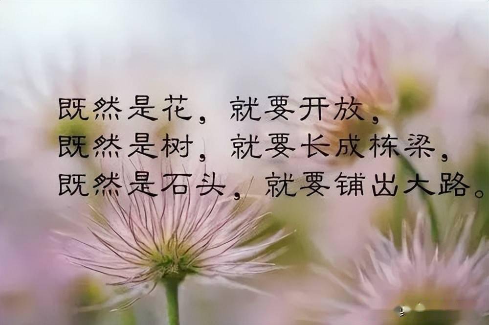 一句話讓你一生不生氣