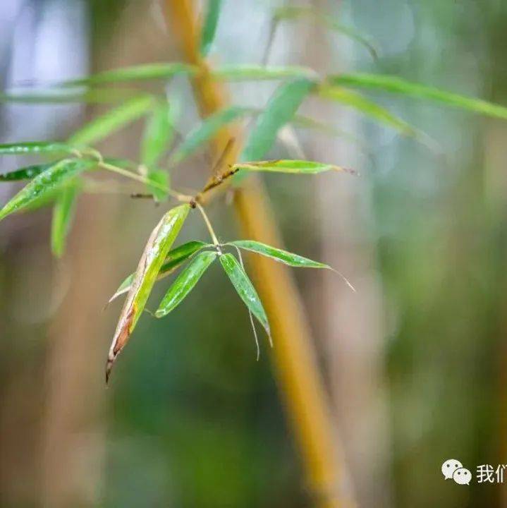 诗 词 | 最美不过一字诗！_一山_一生_黄叶一
