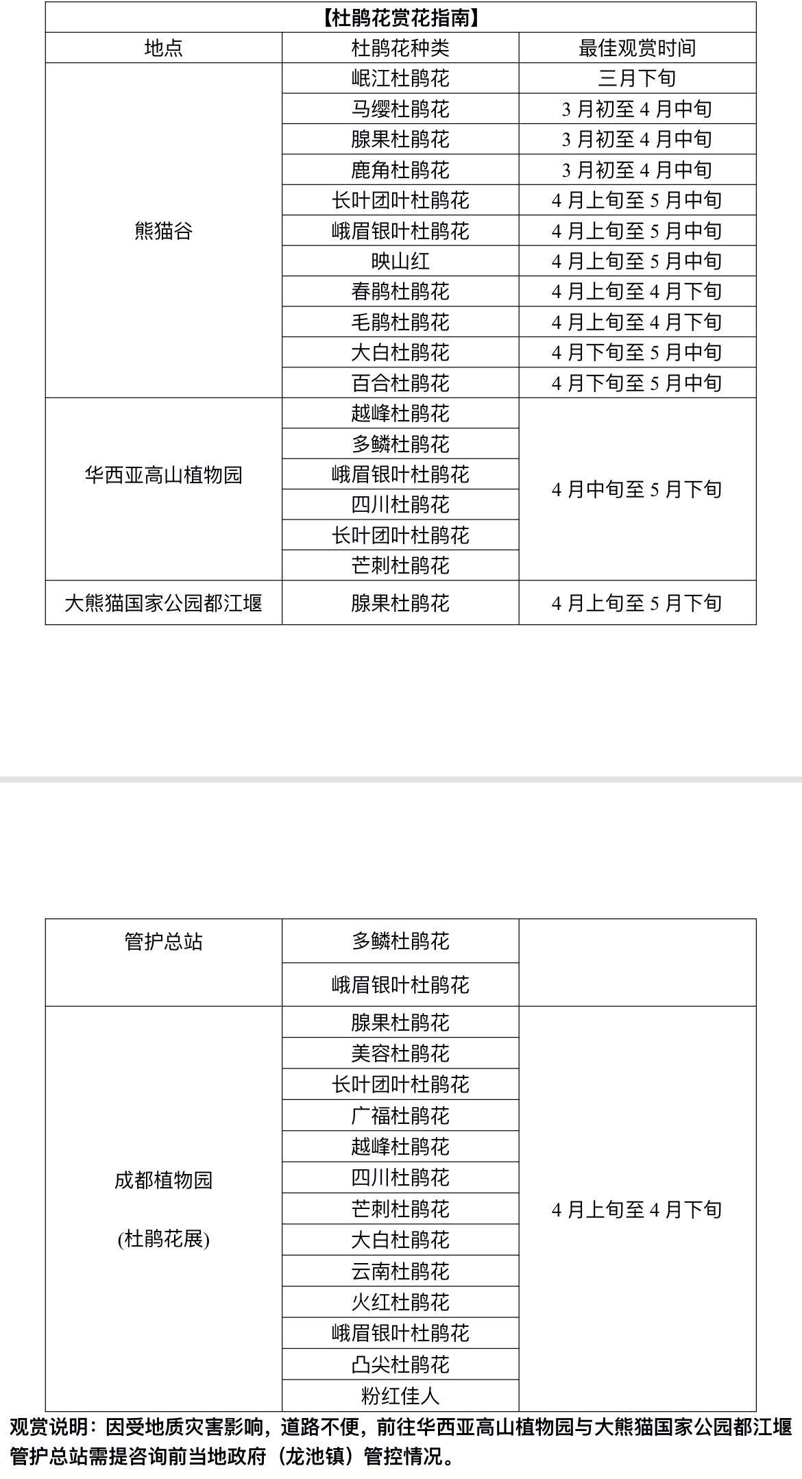 大熊猫|这周六 去熊猫谷看滚滚、赏杜鹃