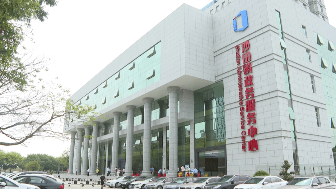 沙田镇新政务服务中心恢复全业务现场办理_市民_检测_核酸