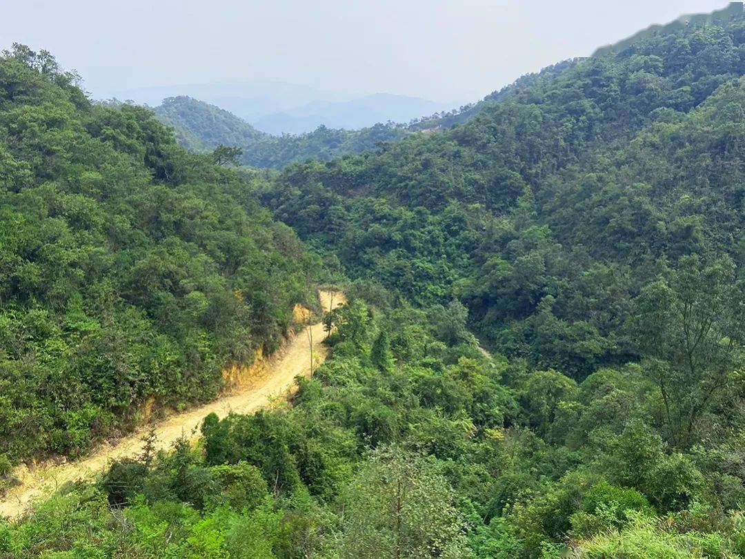 老香山登頂佛山二峰打卡一飛沖天牙鷹石風車群亂石陣瀑布叢玩不停