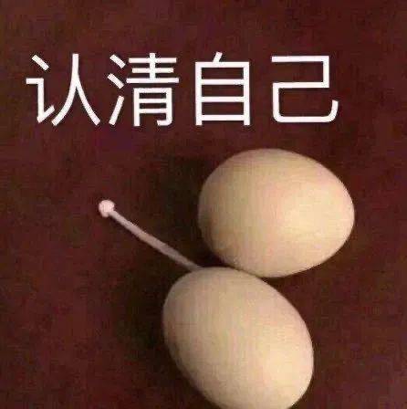 最火的表情包i我顶得住葫芦娃电脑壁纸