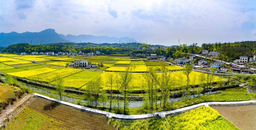 三国文化,乡村体验,田园游乐面积:12000亩地址:宜昌当阳市草埠镇南湖