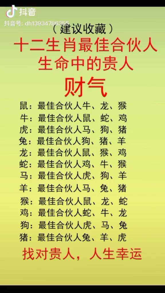 十二生肖最佳合伙人生命中的贵人是谁呢生肖十二生肖生肖派对