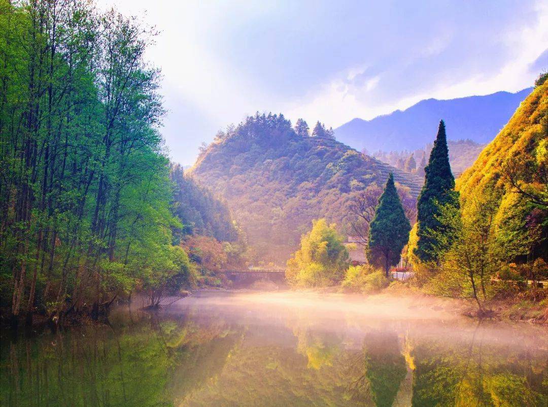 開化邀您沏一杯龍頂,賞一方美景_茶園_大黃山_龍山